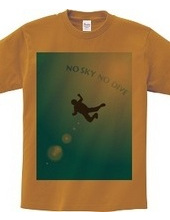 NO SKY NO DIVE