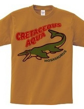 CRETACEOUS AQUA