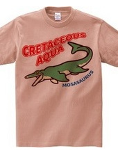 CRETACEOUS AQUA