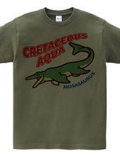 CRETACEOUS AQUA