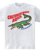 CRETACEOUS AQUA