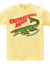 CRETACEOUS AQUA