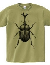 Rhino beetle