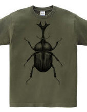 Rhino beetle