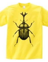 Rhino beetle