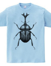 Rhino beetle