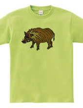 wild boar