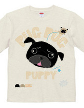 PUG PUG PUPPY パグパグパピー パグ黒