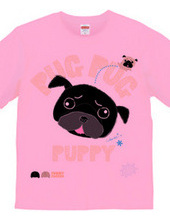 PUG PUG PUPPY パグパグパピー パグ黒