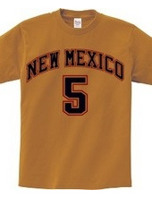 NEW MEXICO #5