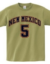 NEW MEXICO #5