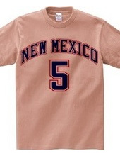 NEW MEXICO #5