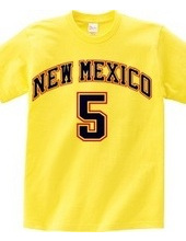 NEW MEXICO #5