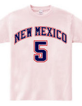 NEW MEXICO #5