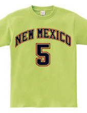 NEW MEXICO #5