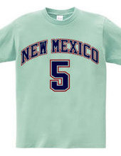 NEW MEXICO #5