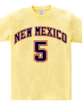 NEW MEXICO #5