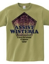 ASSIST WISTERIA