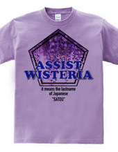 ASSIST WISTERIA