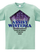 ASSIST WISTERIA