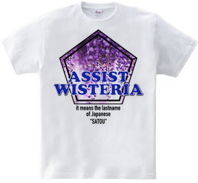 ASSIST WISTERIA