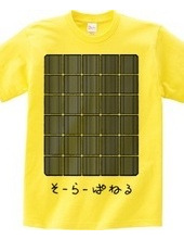 Solar Panel