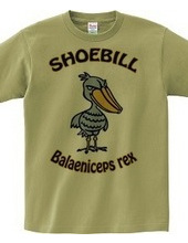 Shoebill _B1