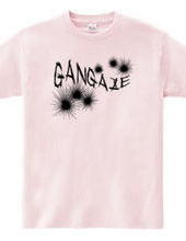 GANGAZE_K