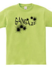 GANGAZE_K