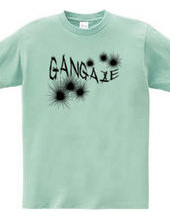 GANGAZE_K