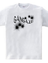 GANGAZE_K