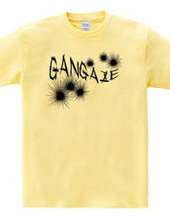 GANGAZE_K