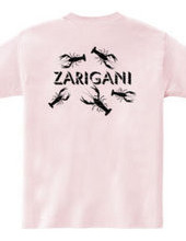 ZARIGANI_KFB