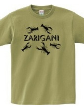 ZARIGANI_KF