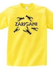 ZARIGANI_KF