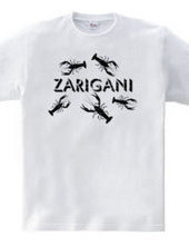 ZARIGANI_KF