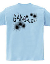 GANGAZE_KFB