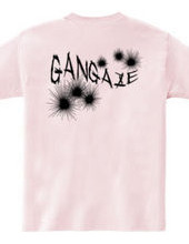 GANGAZE_KFB