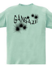 GANGAZE_KFB