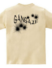 GANGAZE_KFB