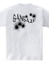 GANGAZE_KFB