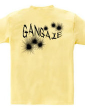 GANGAZE_KFB