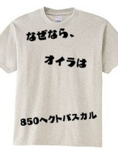 なぜなら、オイラは850hPa