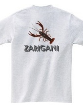 ZARIGANI2_CFB