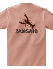 ZARIGANI2_CFB