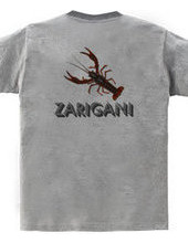 ZARIGANI2_CFB