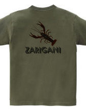 ZARIGANI2_CFB