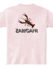 ZARIGANI2_CFB