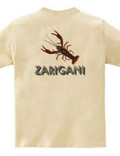 ZARIGANI2_CFB