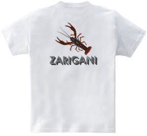 ZARIGANI2_CFB